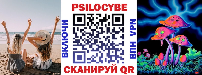 цены   Дрезна  Галлюциногенные грибы прущие грибы 